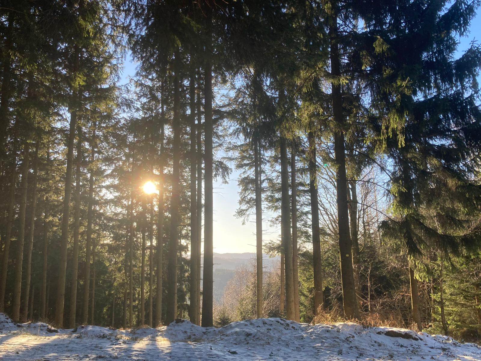 Sterbefälle ansehen